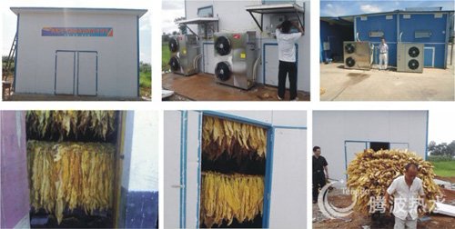 �������ȱ��̲ݺ��ϵͳ